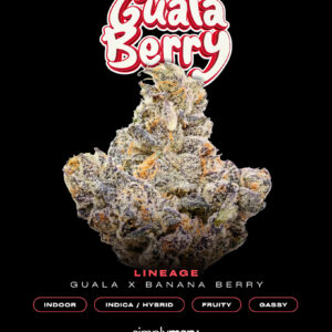 Guala Berry Indoor Flower
