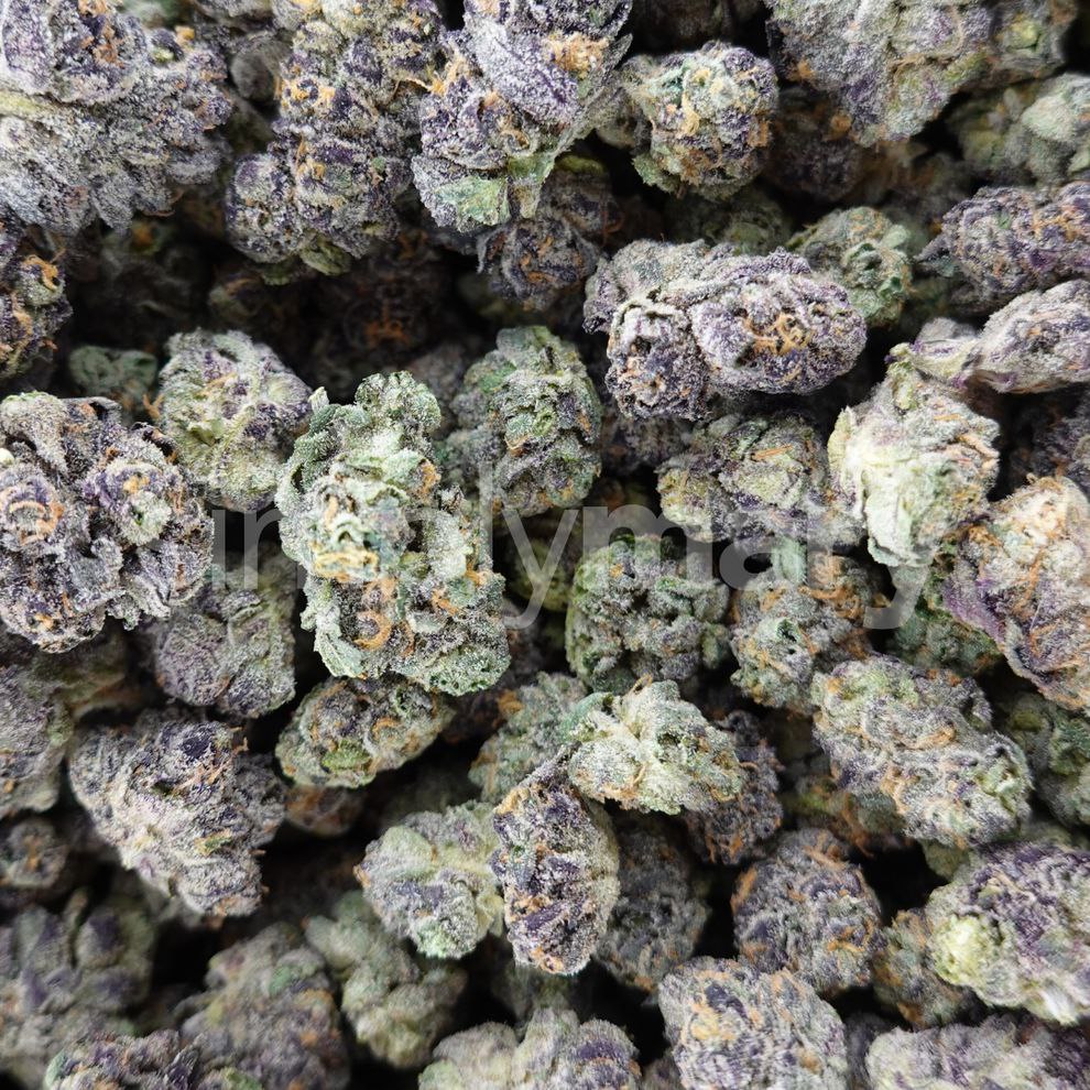 Close-up of 818 OG Smalls THCa flower buds, dense and frosty with trichomes, on a white background.