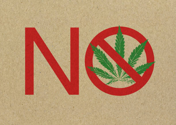 Federal hemp product ban 2025 – President signs spending bill restricting THC gummies and hemp-derived drinks