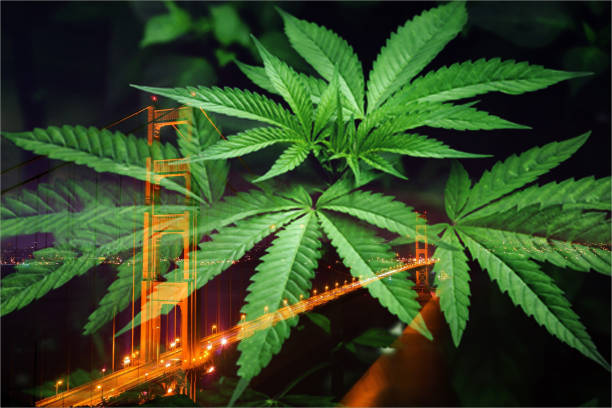 New York cannabis equity program – Nearly half of 38 new adult-use licenses awarded to equity applicants