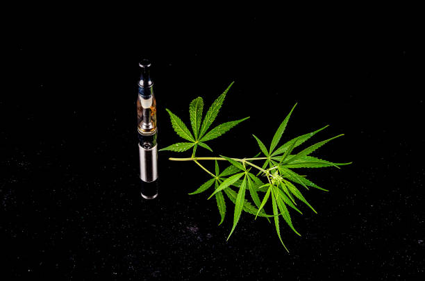 Premium THCA Rosin Vape Collection – SimplyMaryTHCA.com