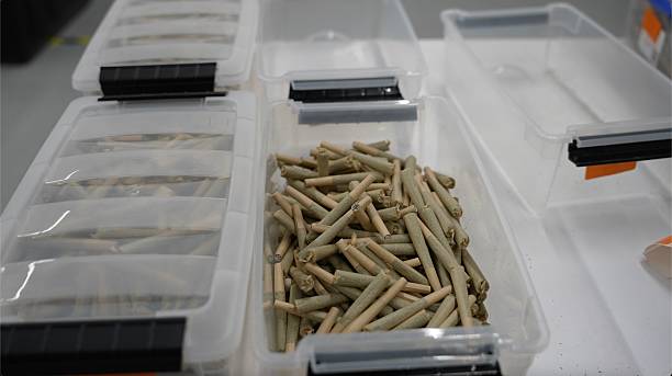 Premium THCA Prerolls Collection – SimplyMaryTHCA.com”

