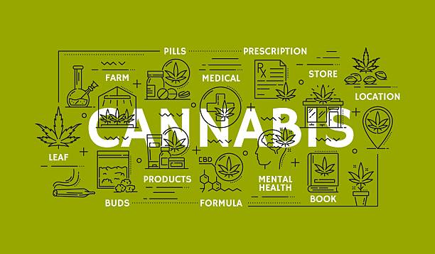 Simply Mary 2025 Overview – Premium THCa Rosin and Resin Sleep and Flavor Collections