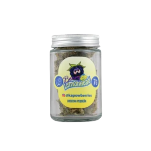 Kapow Berries Berry Lemonhead: Best Sour Candy & Citrus THCa 2026