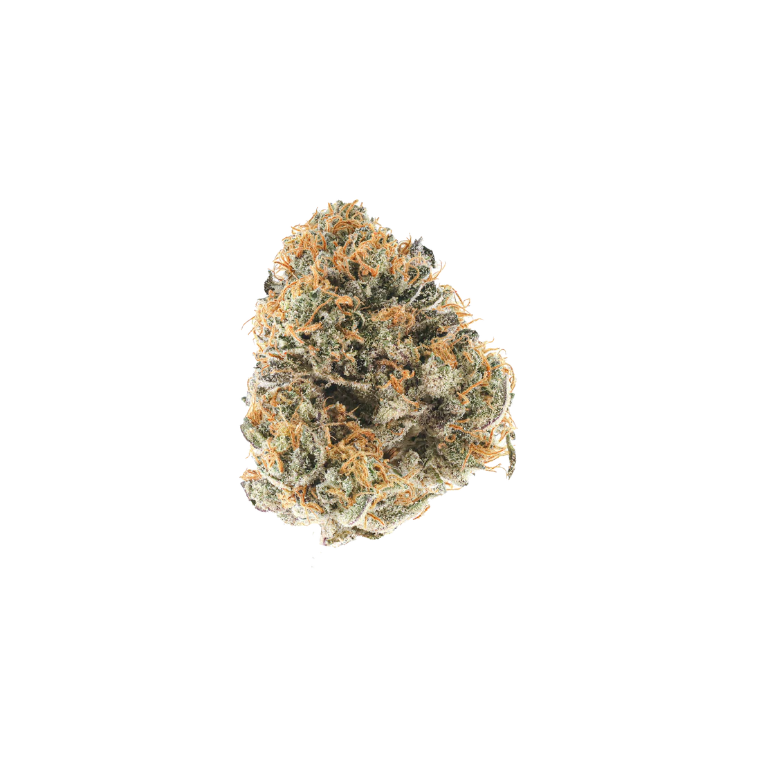 Rainbow Sherbert: Organic Living Soil THCa Flower (Orca by So Dank Exotics) - Image 2