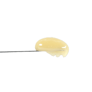 Dino Squish Banana Whip: A 2-Gram Boutique Rosin Masterpiece